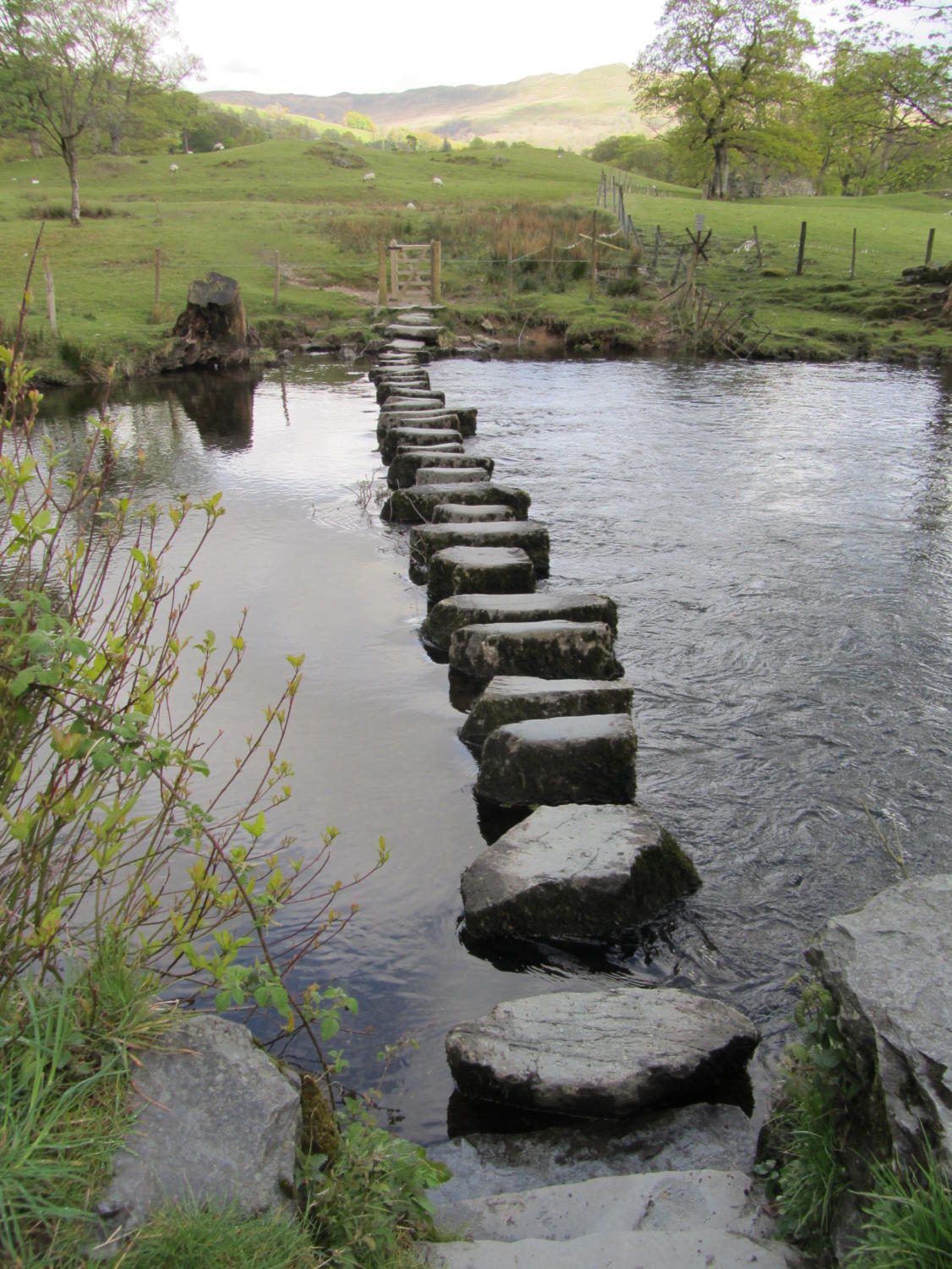 The Church: Stepping Stones