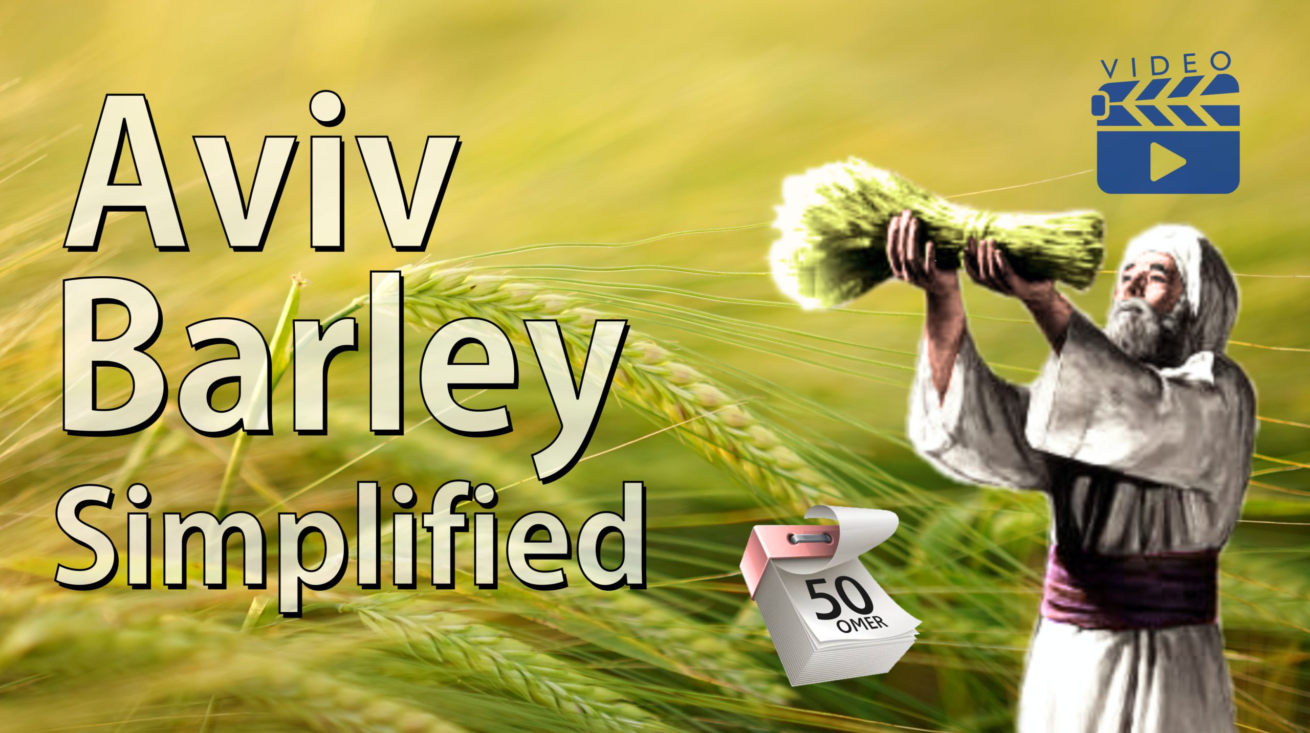 Aviv Barley Simplified