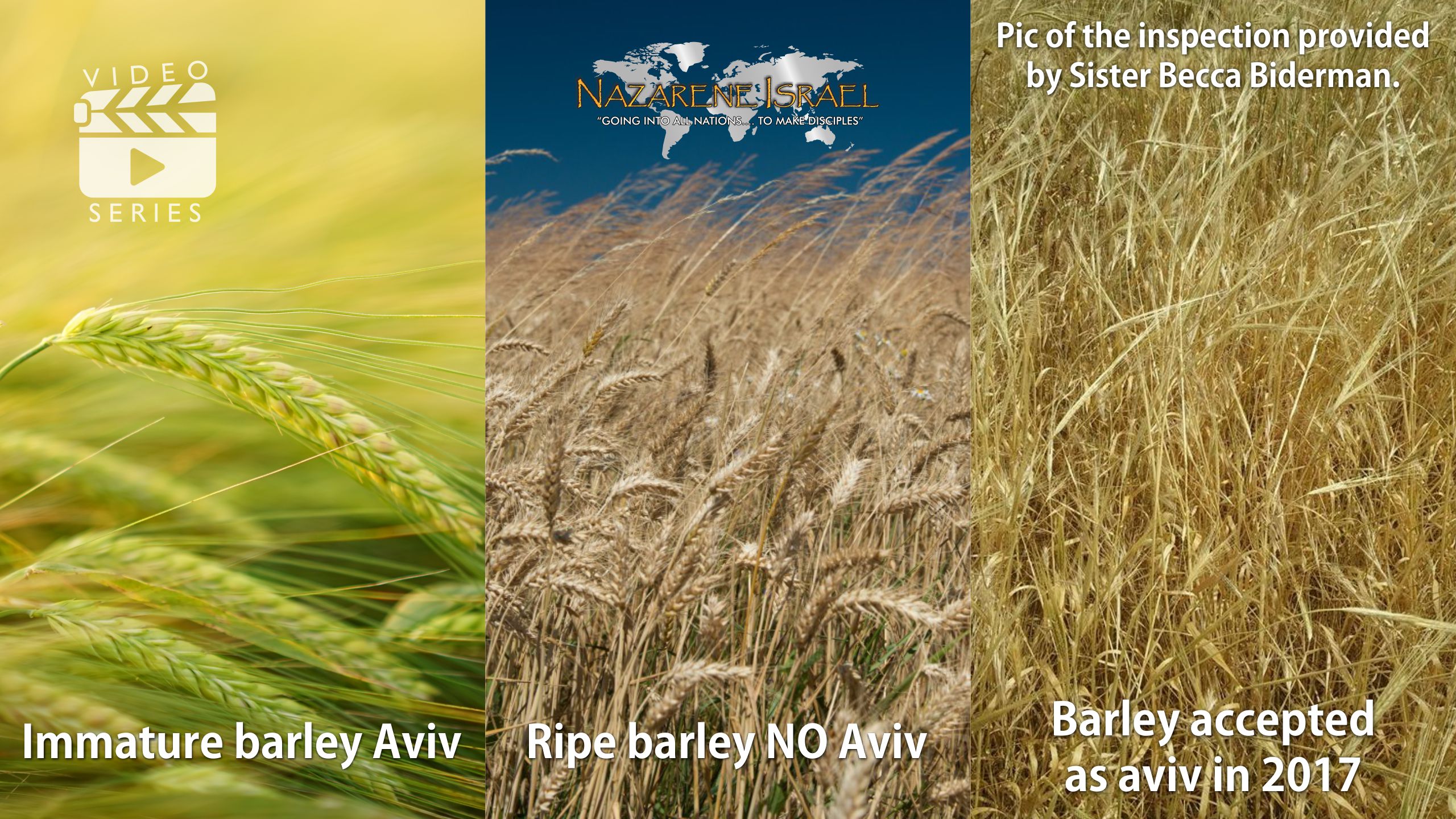 Talking About the Barley with Messianic Sister Becca Biderman