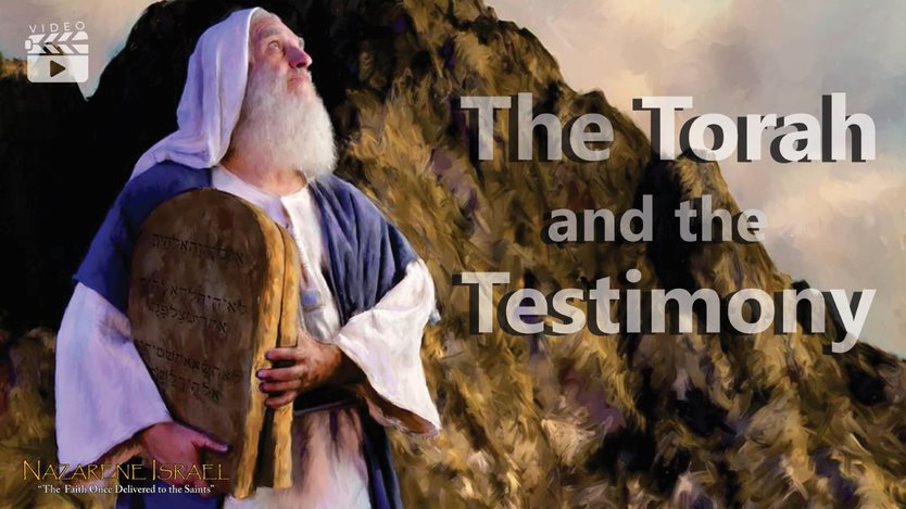 The Torah and the Testimony