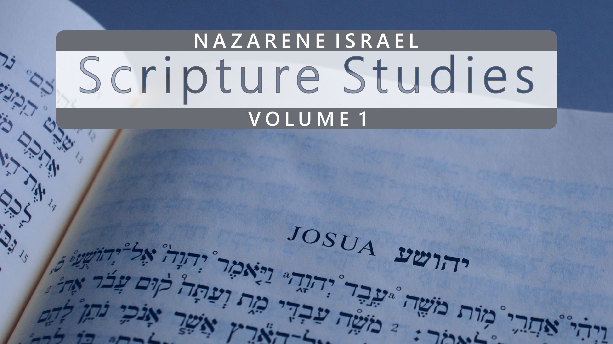 Nazarene Scripture Studies Vol. 1