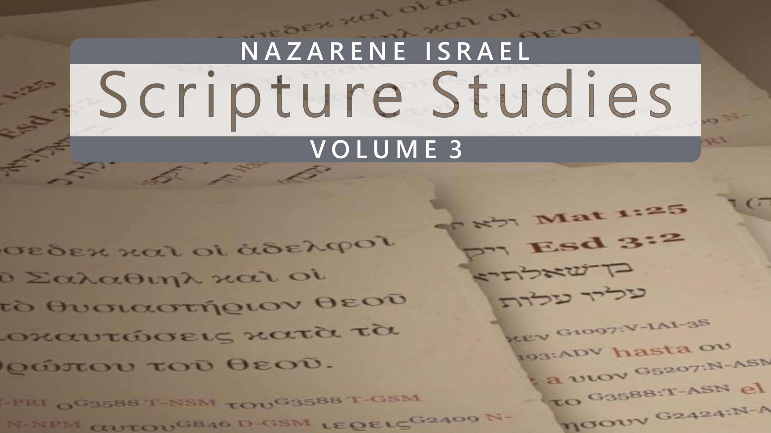 Nazarene Scripture Studies Vol. 3