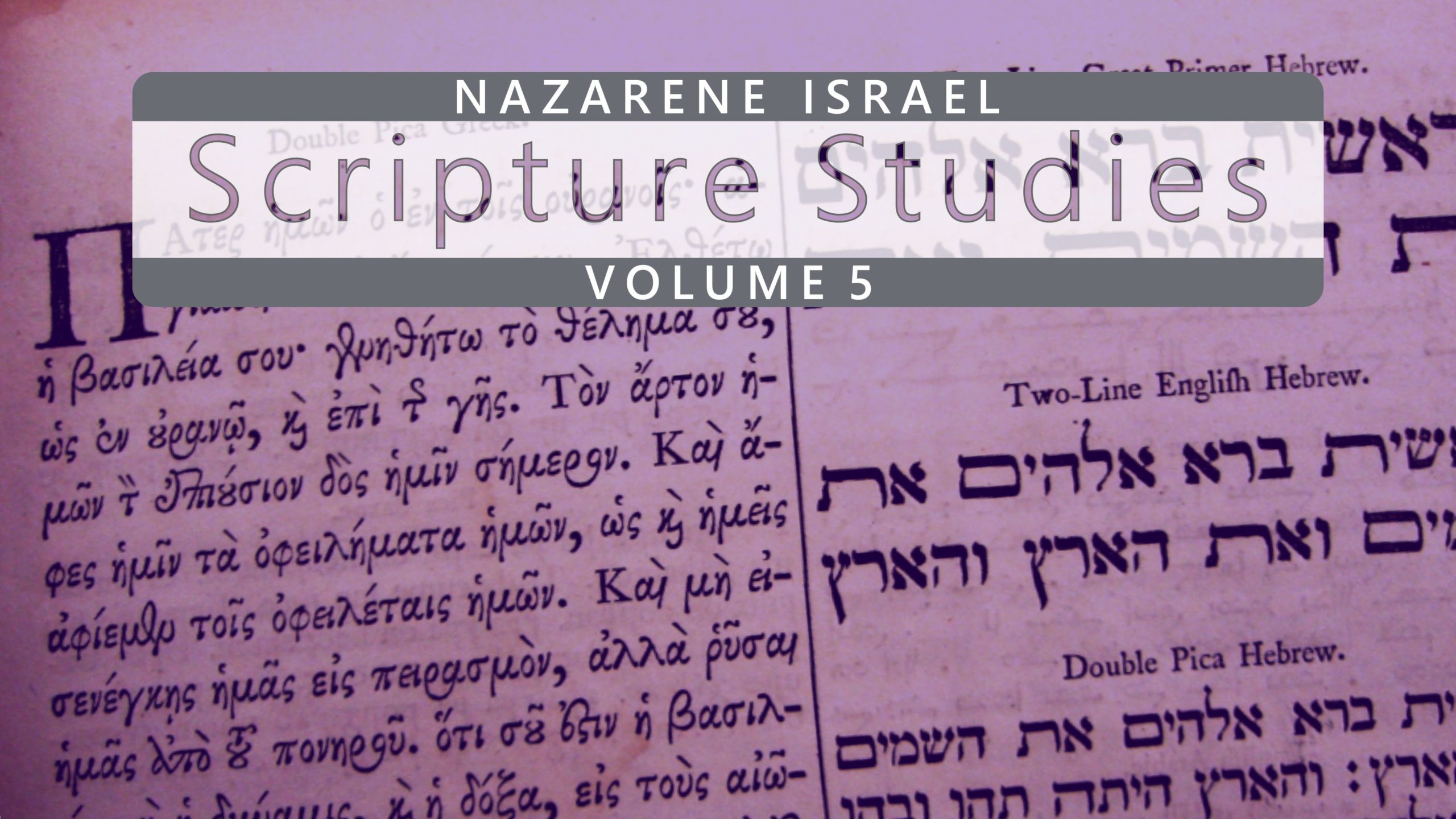Nazarene Scripture Studies Vol. 5