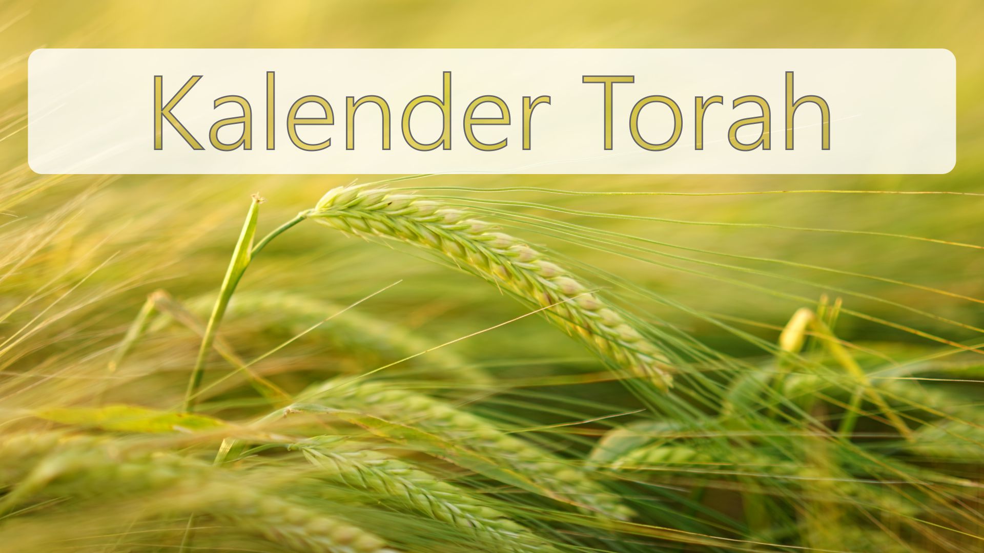 Kalender Torah