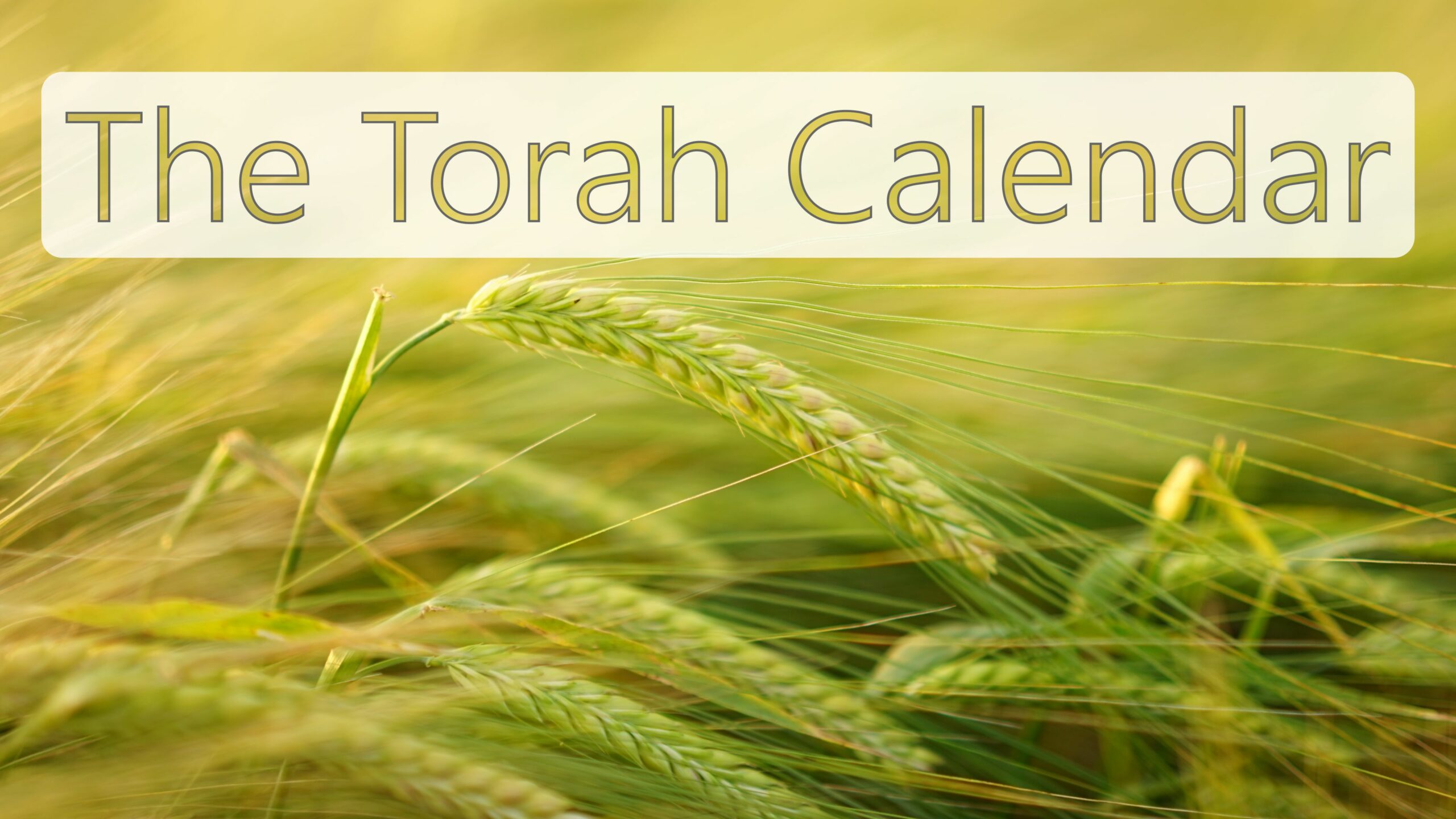 The Torah Calendar