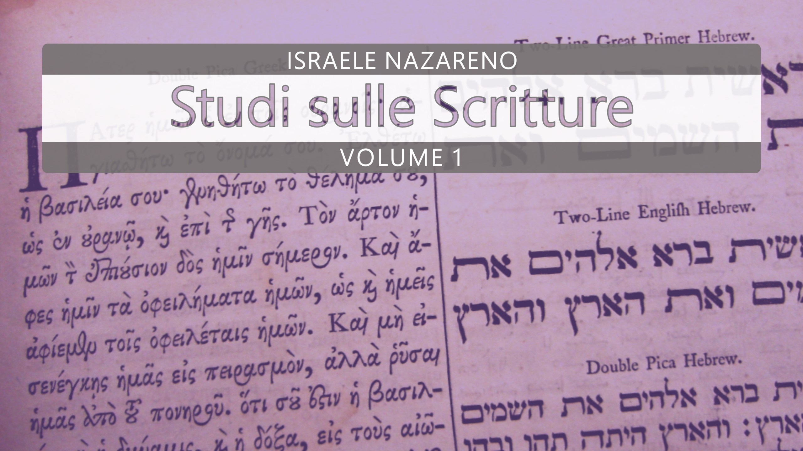 Nazarene Scripture Studies Vol. 5