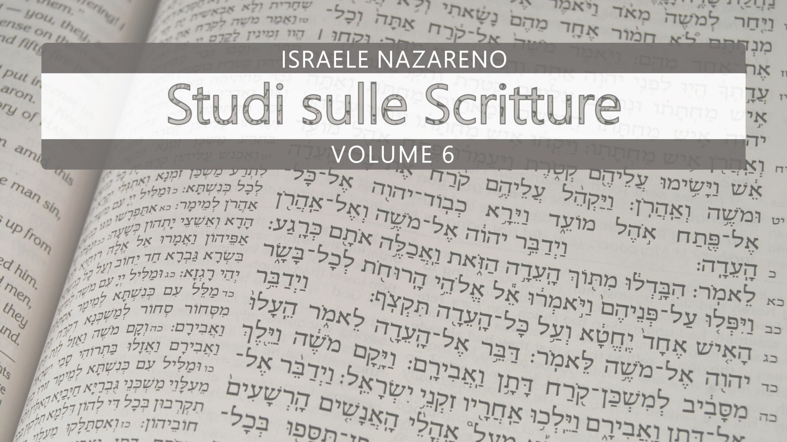 Nazarene Scripture Studies Vol. 6