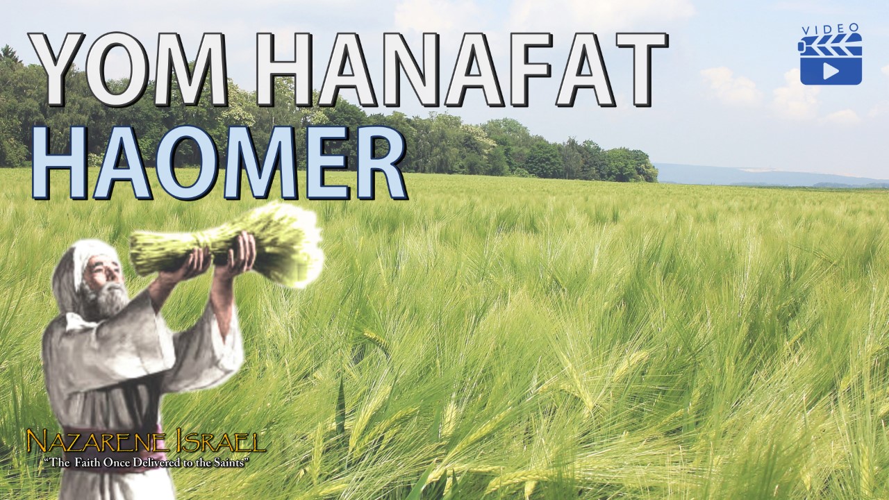 Yom HaNafat HaOmer: Why the Hillel II Calendar is Wrong!