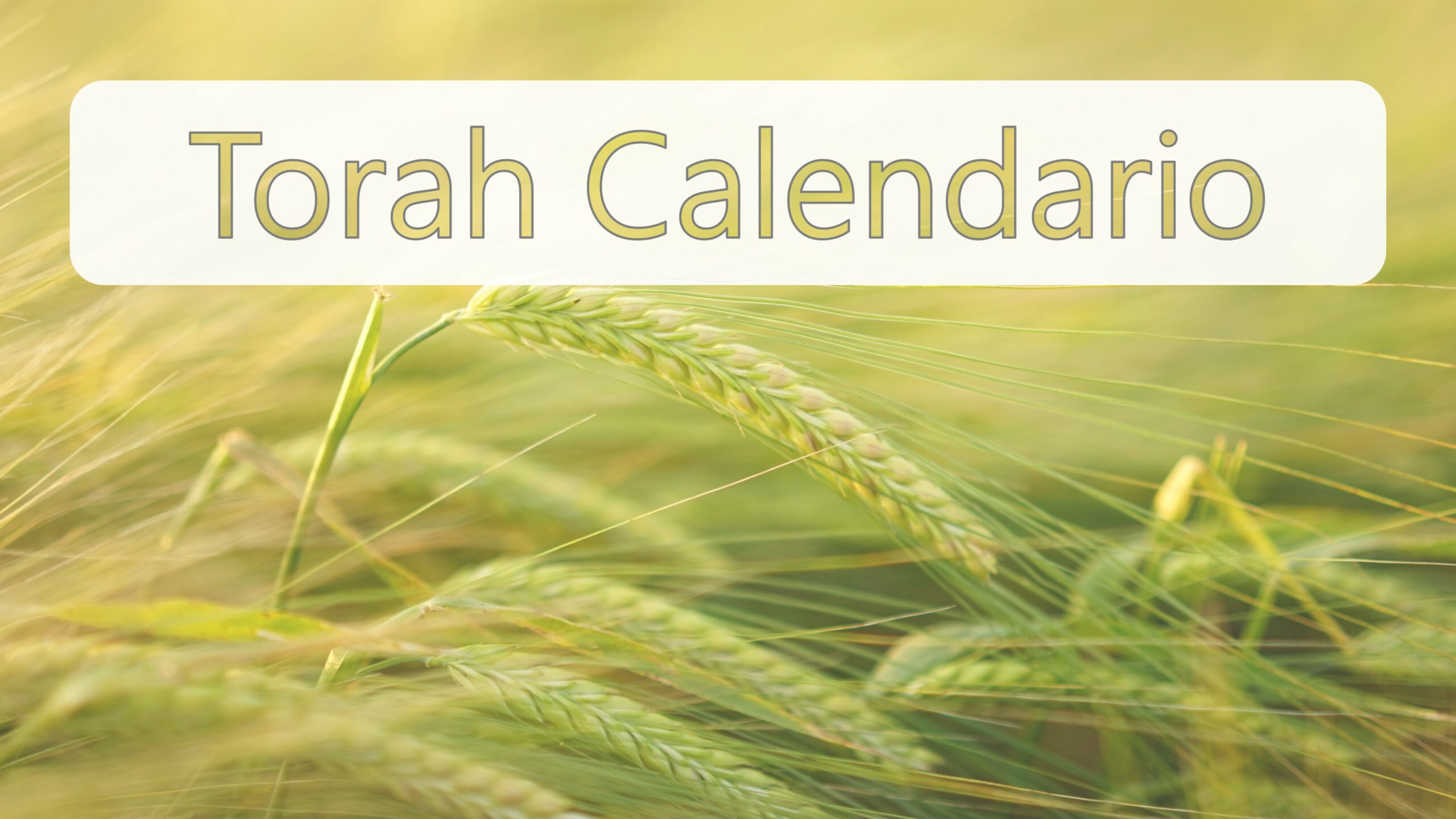 Torah Calendario
