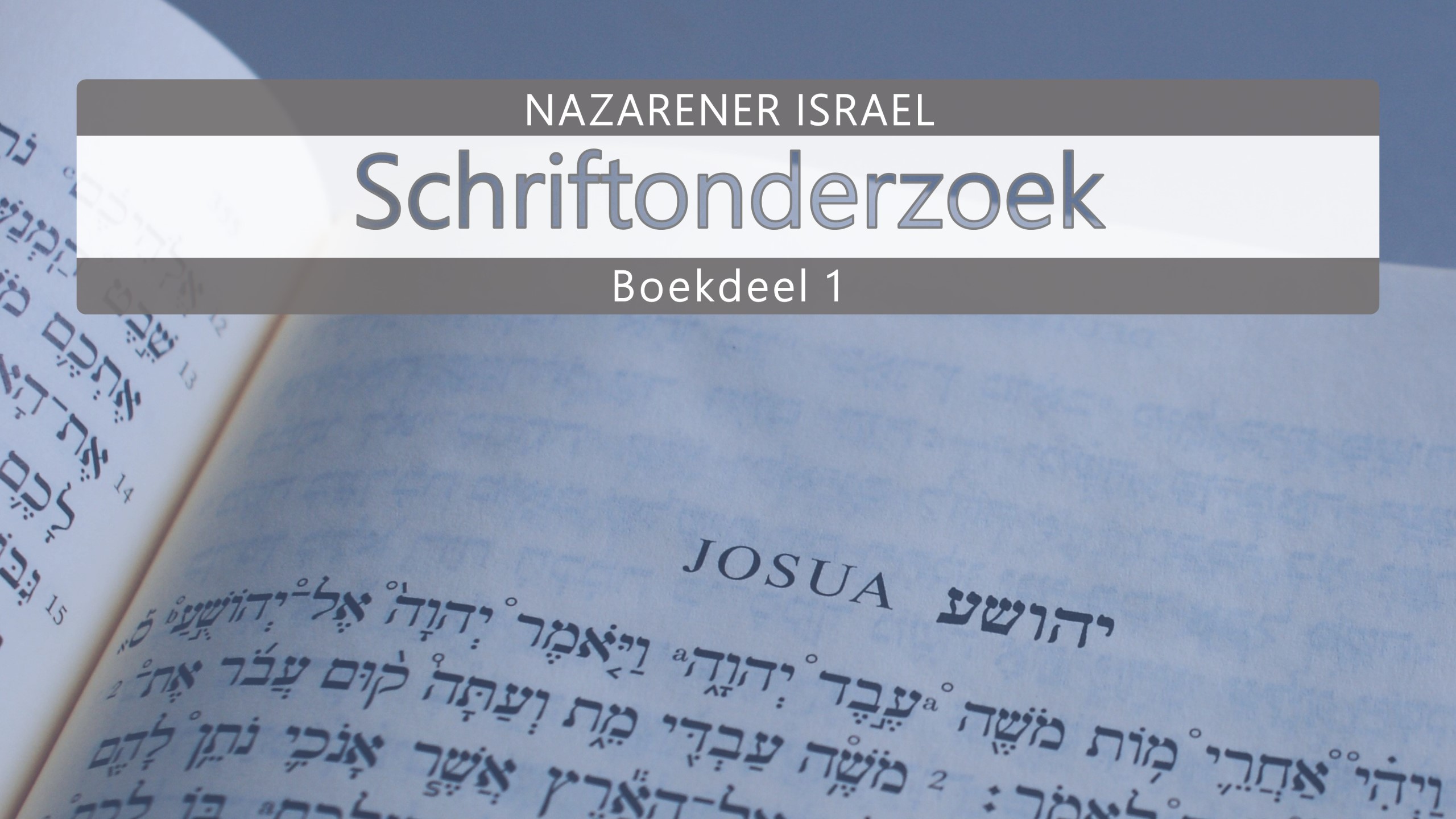 Nazarener Schriftonderzoek Boekdeel 1