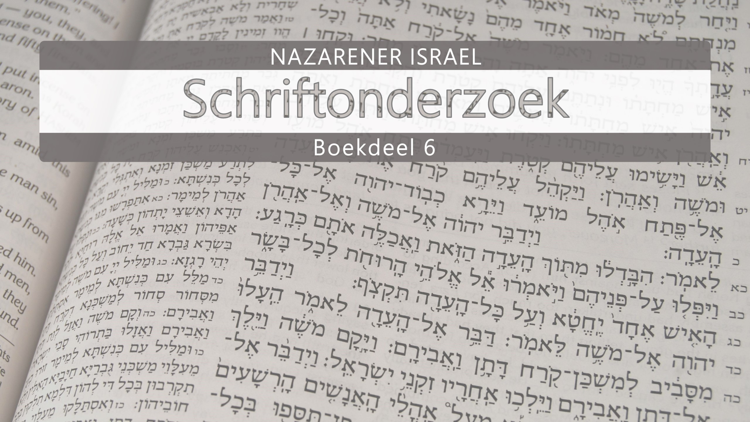 Nazarener Schriftonderzoek Boekdeel 6