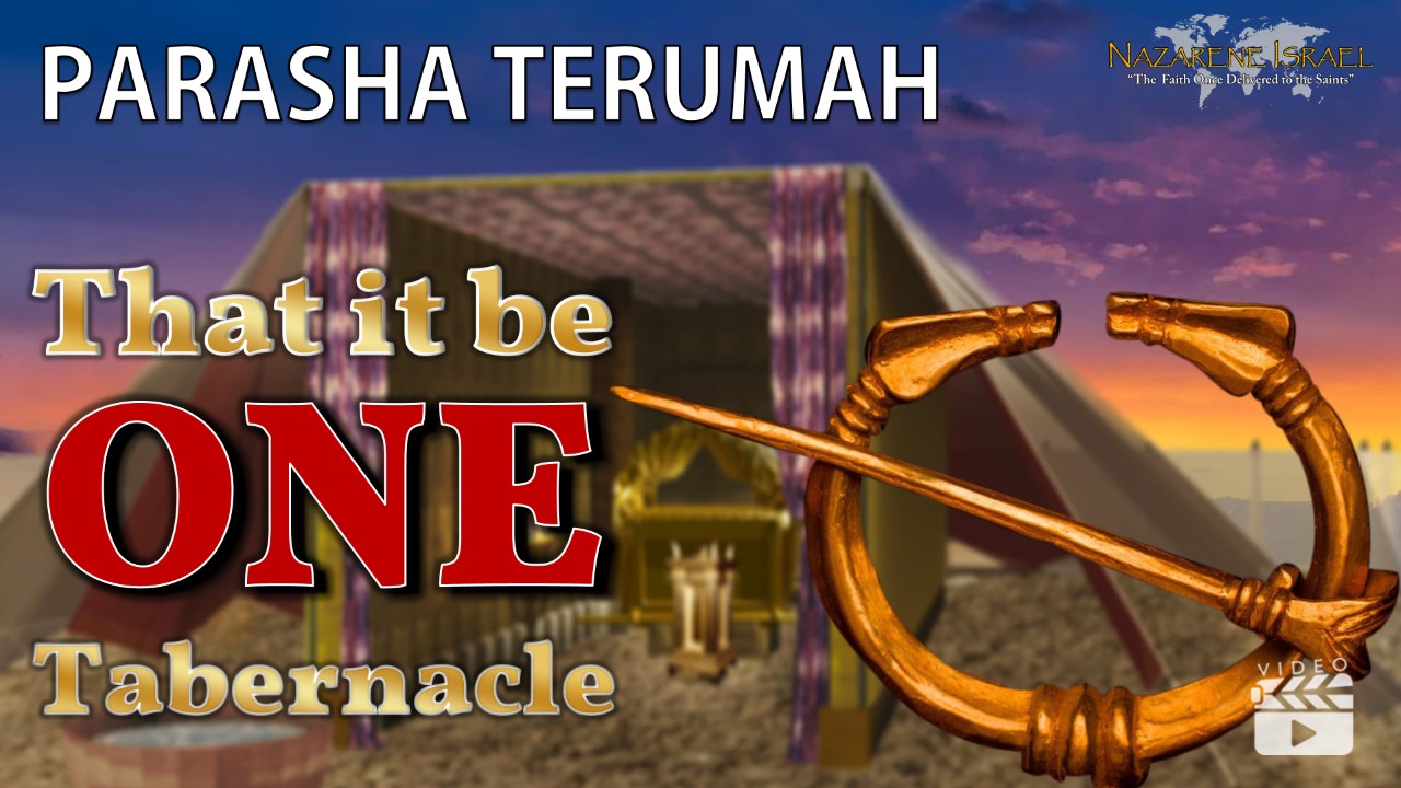 Parasha Terumah 2022: That it be ONE Tabernacle!