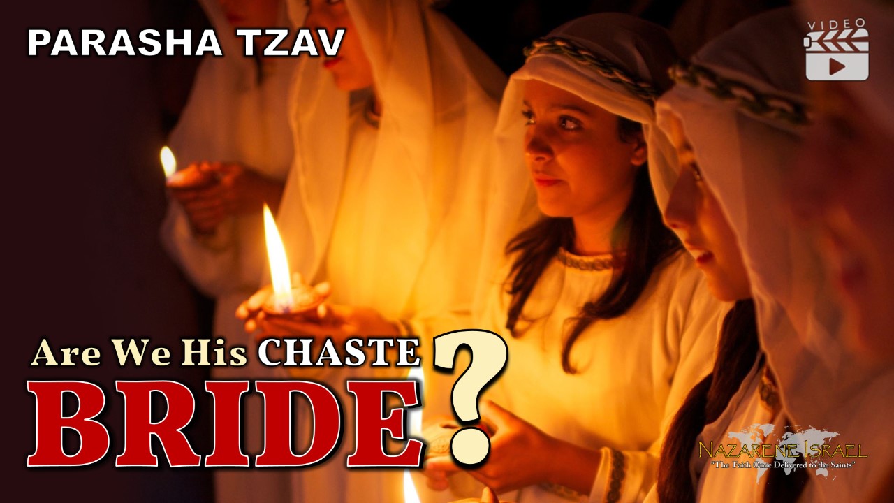 Parasha Tzav 2022: Are We His CHASTE Bride?