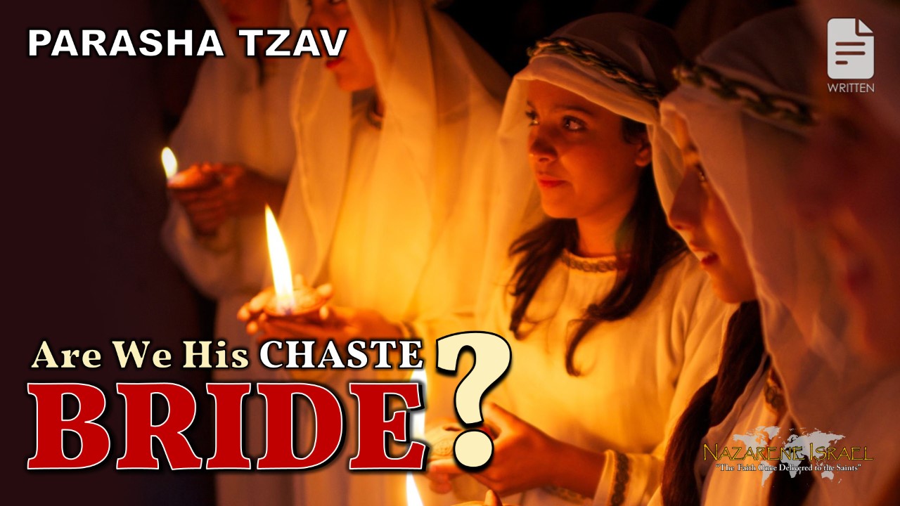Parasha Tzav 2022: Are We His Chaste Bride?