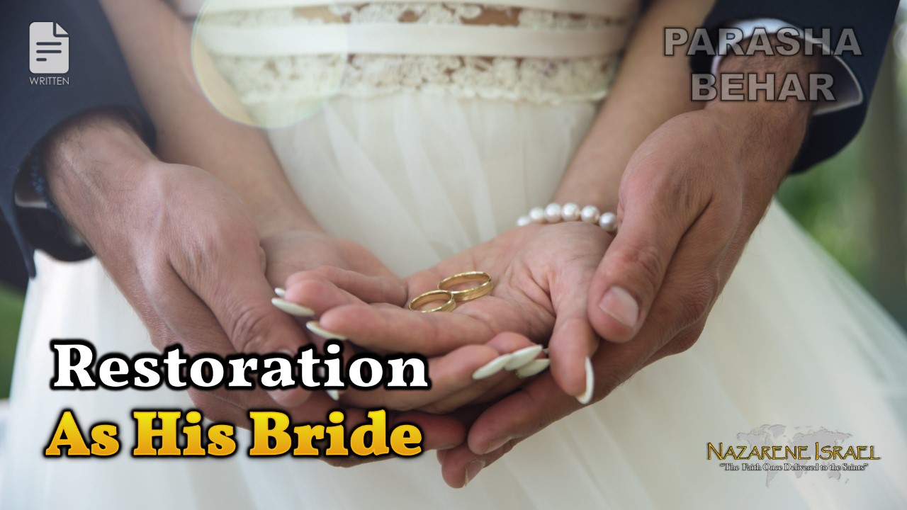 Parasha Behar 2022: Restoration as His Bride!