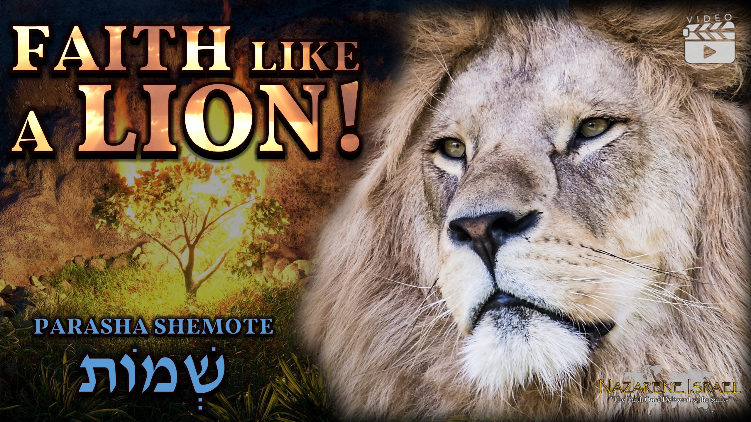 Parasha Shemote 2023 – “Faith Like A Lion!”