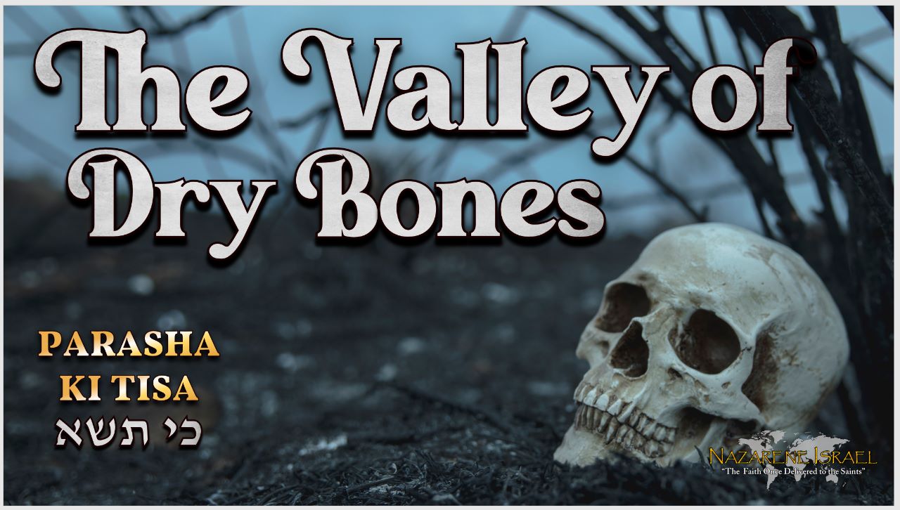 Parasha Ki Tisa – The Valley of Dry Bones