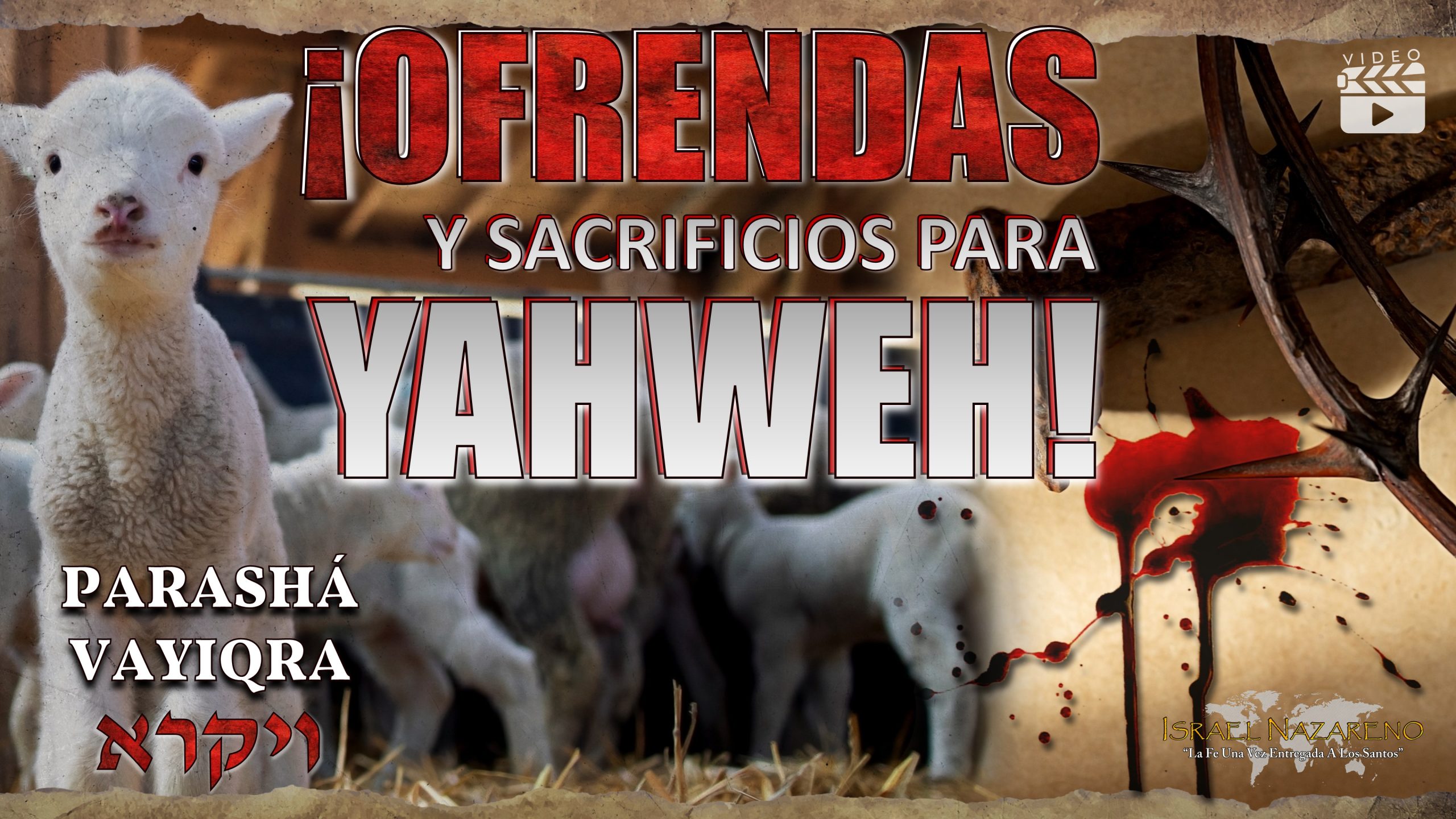 Parashá Vayiqrá  2023: ¡Ofrendas y Sacrificios para Yahweh!