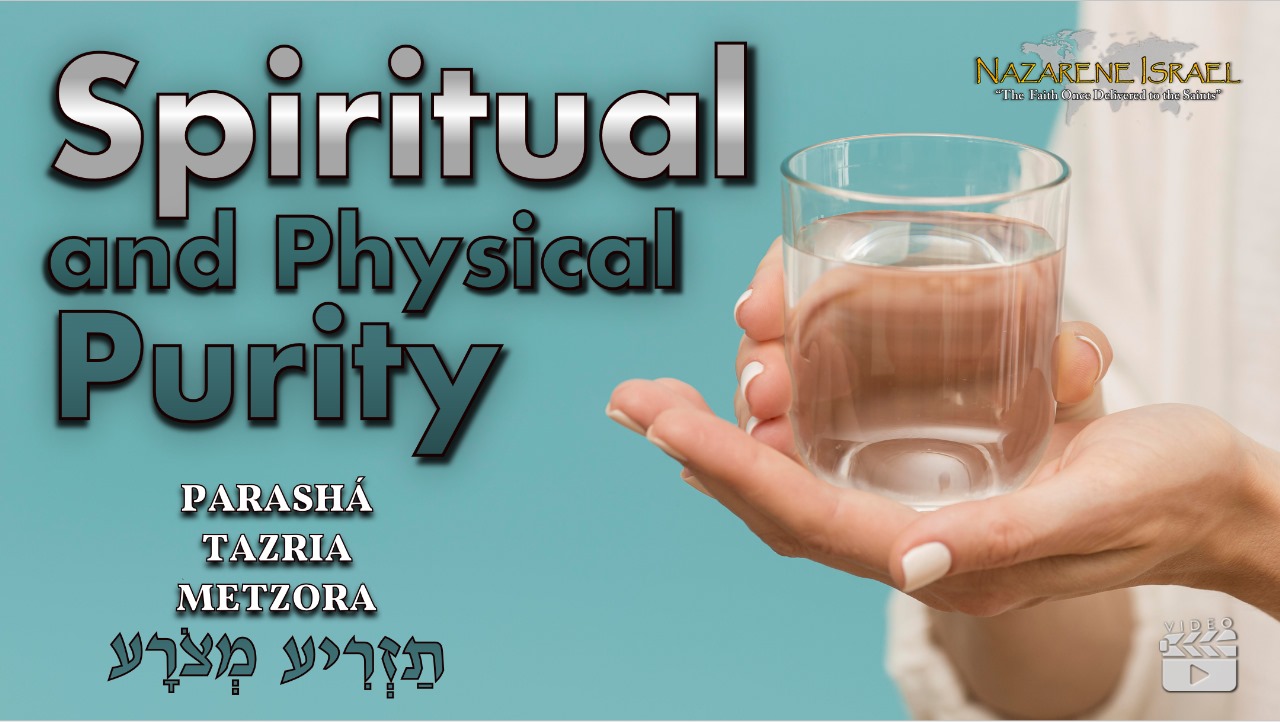 Parasha Tazria/Metzora – Spiritual and Physical Purity