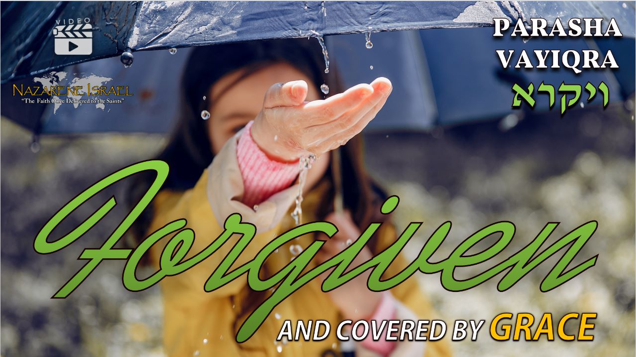 Parasha Vayiqra – Forgiven and covered by Grace