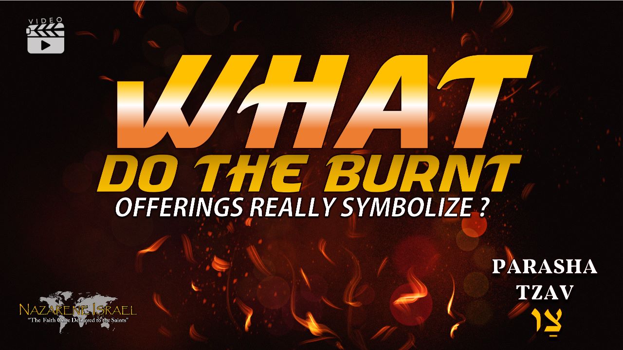 Parasha Tzav-What do the burnt offerings really symbolize?