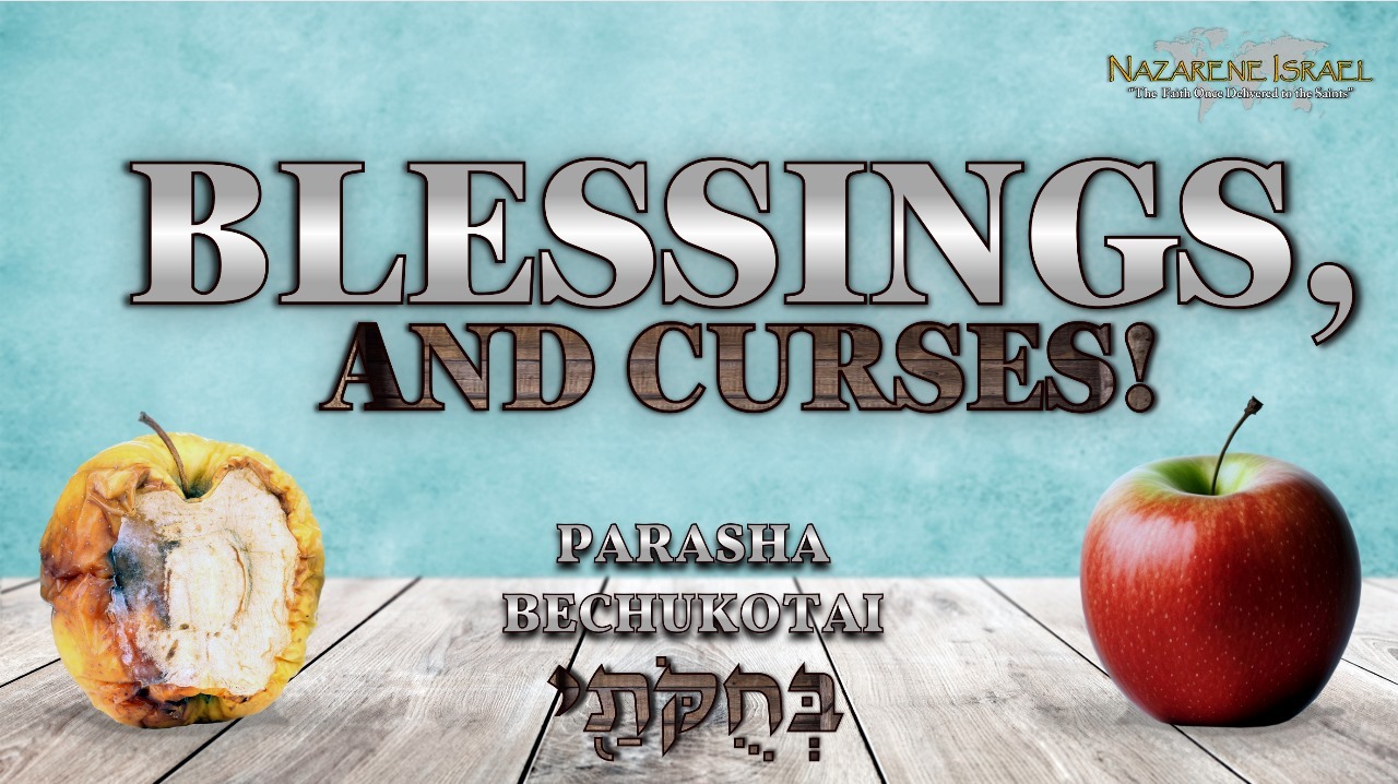 Parasha Bechukotai – Blessings and Curses!