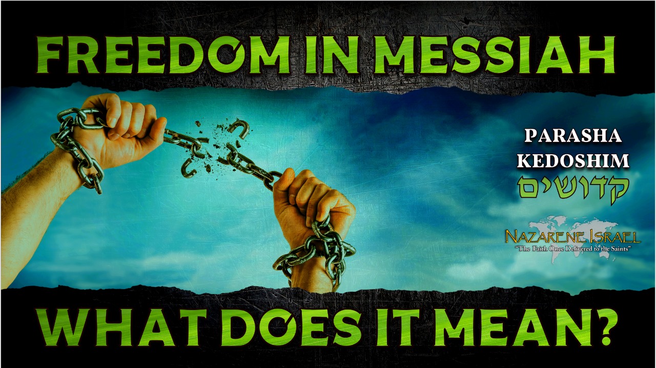 Parasha Kedoshim: Freedom in Messiah, What does it mean?