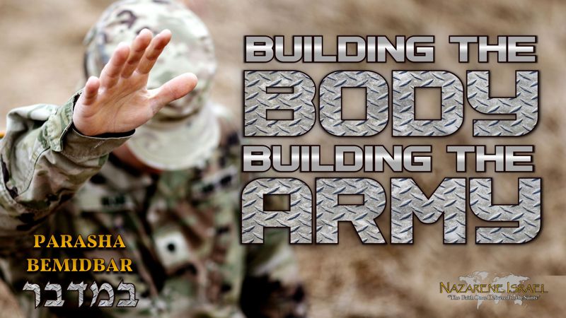 Parasha Bemidbar – Building the Body, Building the Army