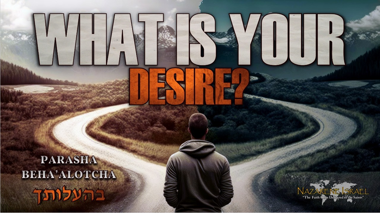 Parasha Beha’alotcha-What is your desire?
